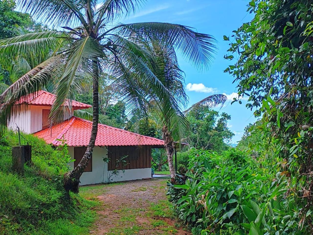 Corcovado Green Cabin & House Drakes Bay Εξωτερικό φωτογραφία